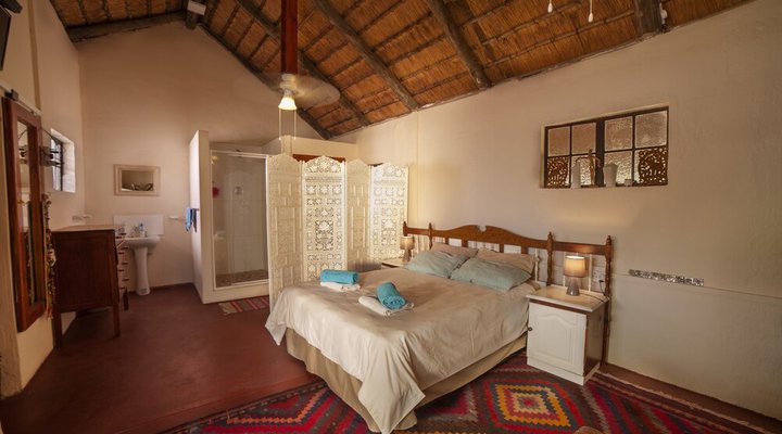 Wild Dogs Safari Lodge