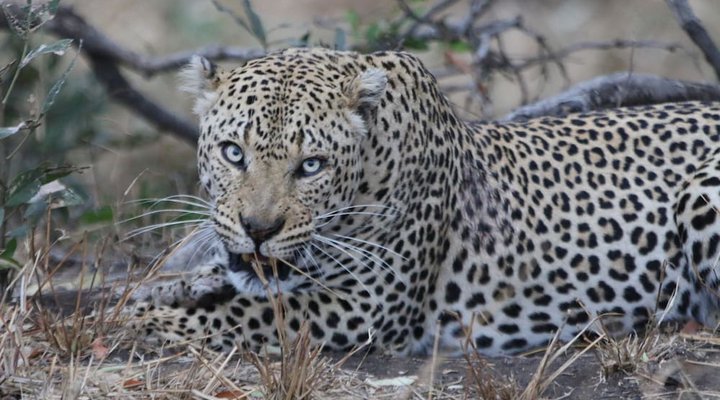 Izulu Eco Lodge