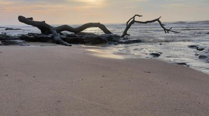 Driftwood Chalets