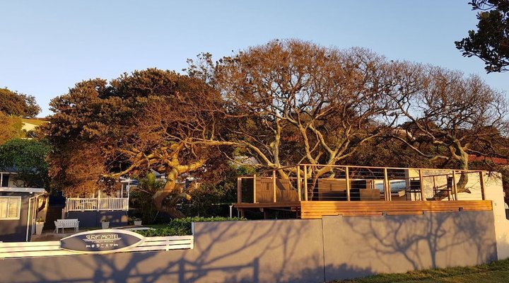 Surf Motel