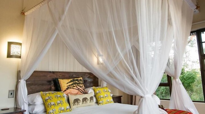 Rooibos Bush Lodge