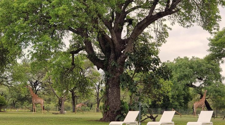 Unyati Safari Lodge