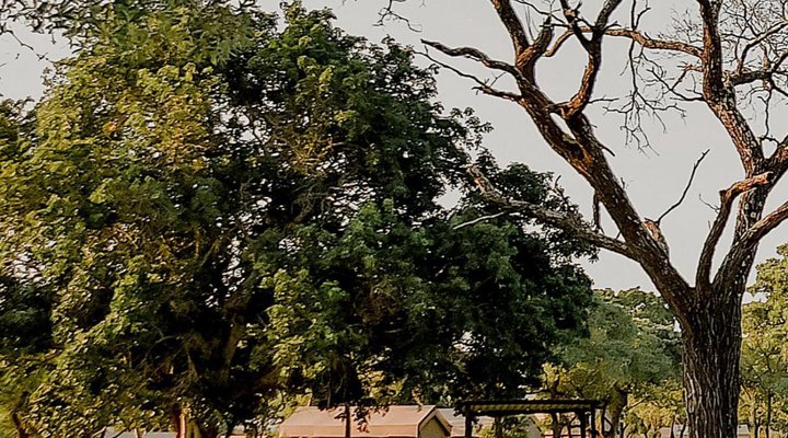 Unyati Safari Lodge