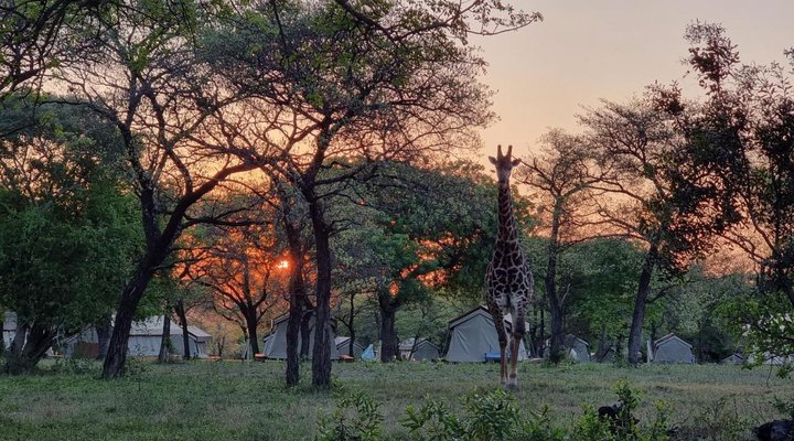 Unyati Safari Lodge