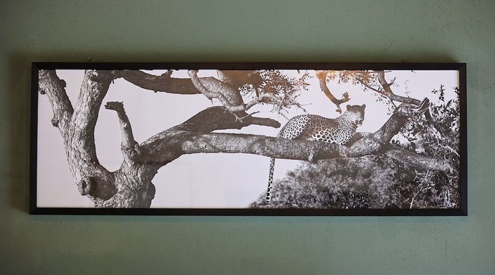 Kwenga Safari Lodge
