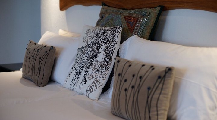 IsiLimela Game Lodge