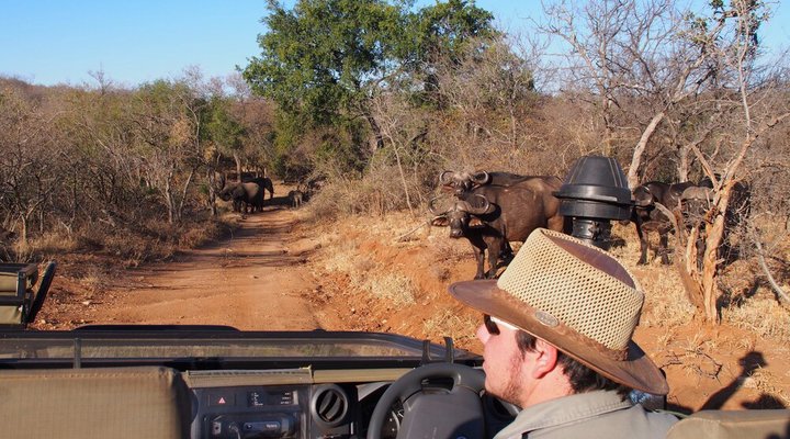 IsiLimela Game Lodge