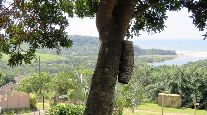 Palm Beach Chalets
