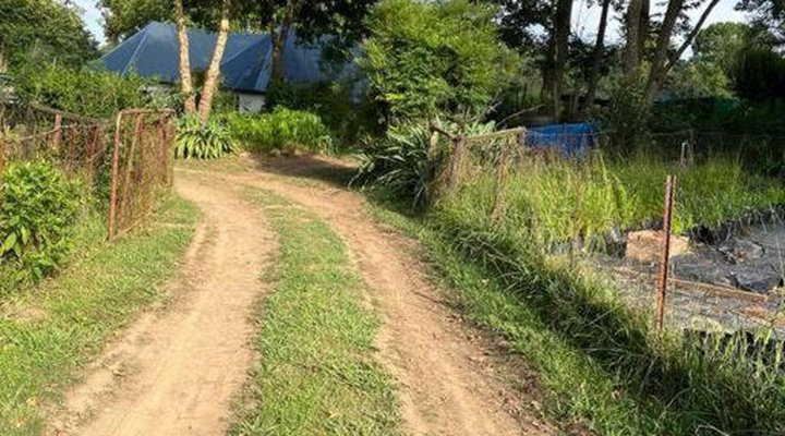 Gartmore Guest Farm
