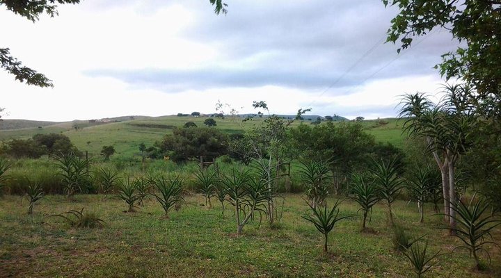 Hluhluwe Backpackers