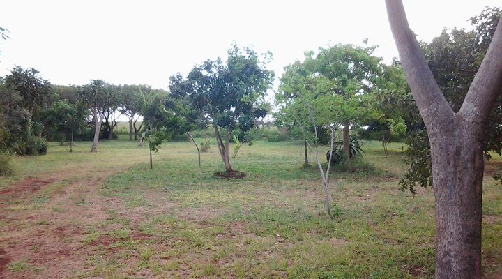 Hluhluwe Backpackers