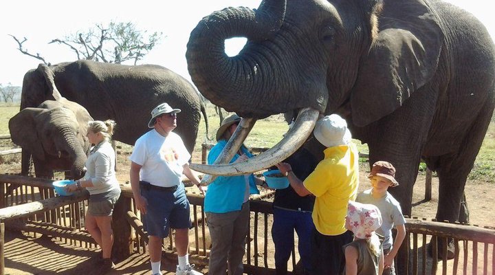 Hluhluwe Backpackers