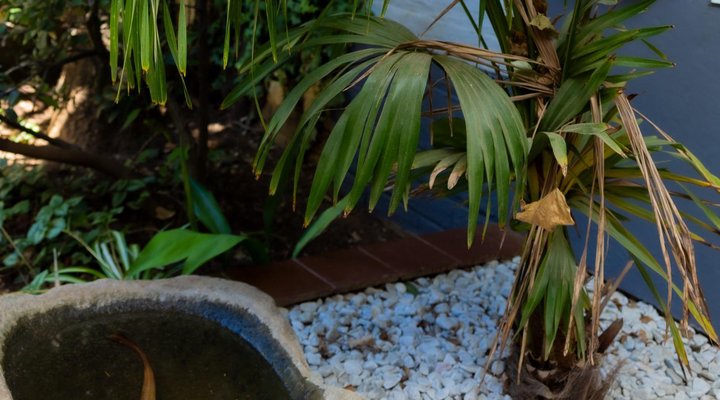 Zakumi Guesthouse