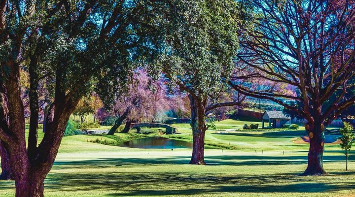Glendower View Guest House