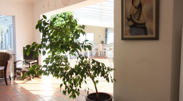 Diamond Guest House