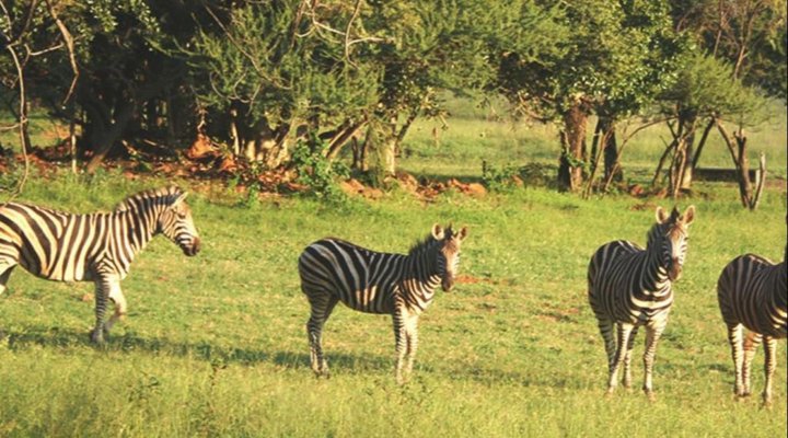 Arotin Game Lodge