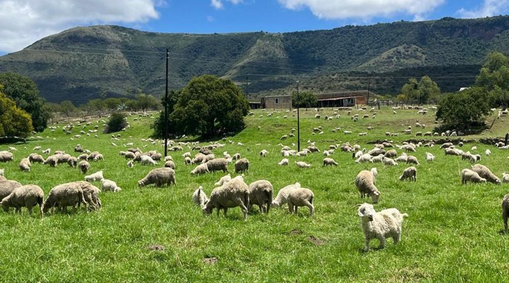 Glen Avon Farm