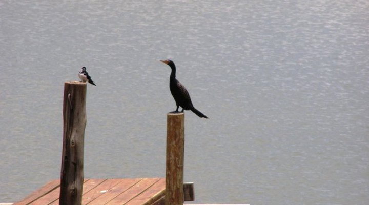Stonechat Self Catering Cottages