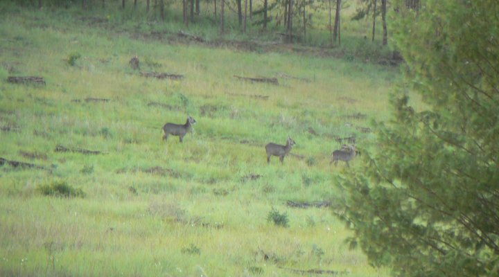Stonechat Self Catering Cottages