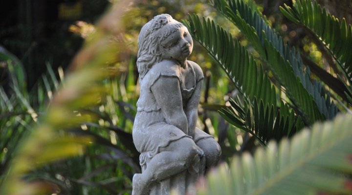 Ash Manor Luxury Guesthouse