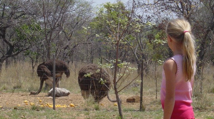 Olievenhoutsrus Guest- & Game Farm