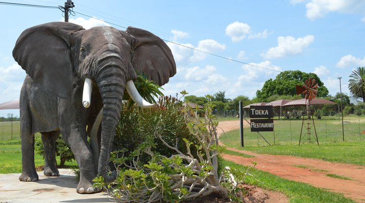 Toeka Accommodation, Restaurant and Predator Park