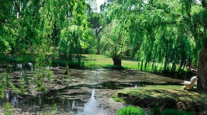 Sterkfontein Guest House