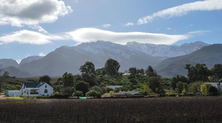 Audrey’s Vineyard Cottage & Homestead