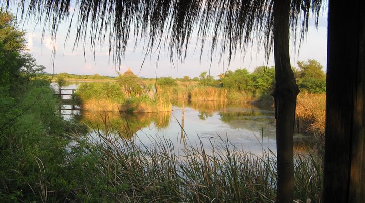 Hippo’s Haven – Hans Merensky