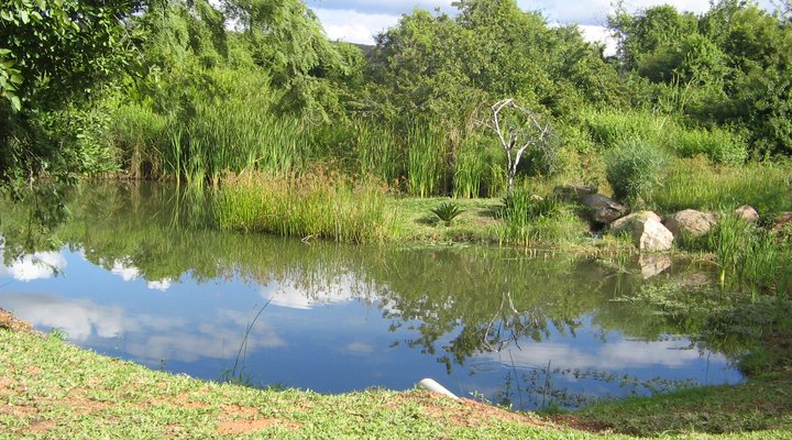 Hippo’s Haven – Hans Merensky