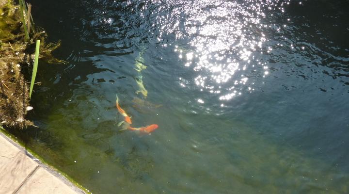 28 on Fifth Guesthouse