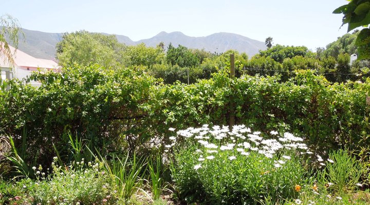 Sunbird Self-catering Cottage