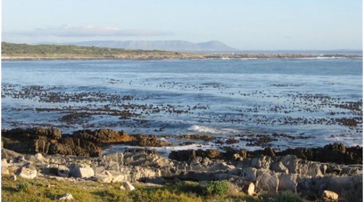 Ocean Song Self Catering Accommodation