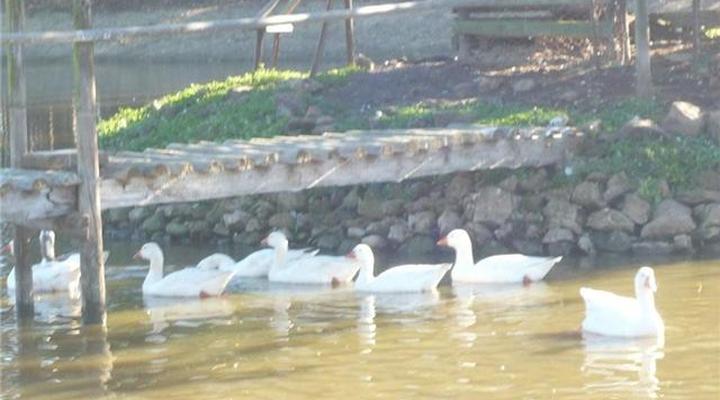 Blue Gum Farm Cottage