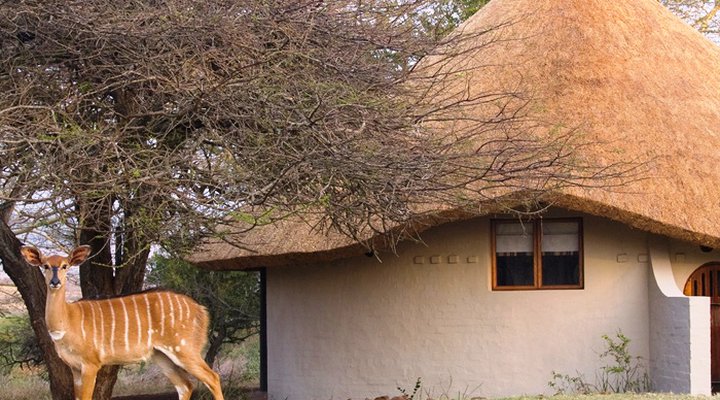 Ubizane Zululand Safari Lodge