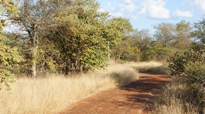 Zulani Safaris Game Farm