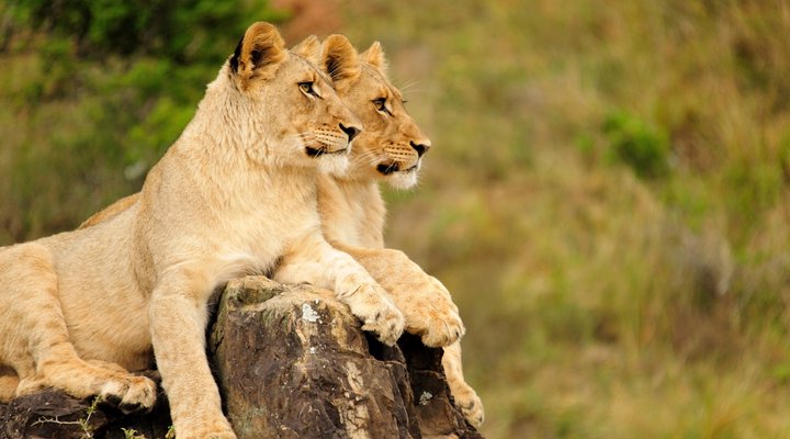 Kariega Game Reserve - Ukhozi Lodge