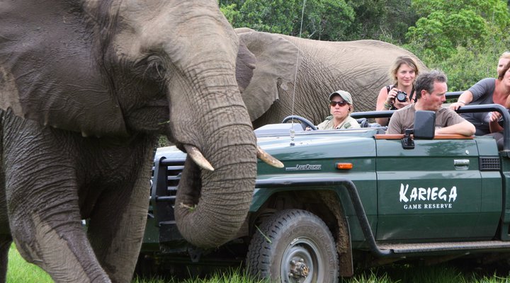 Kariega Game Reserve - Ukhozi Lodge