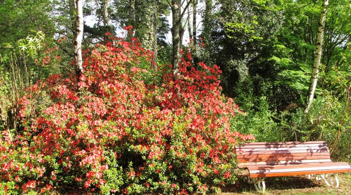 Back o' the Moon Cottage