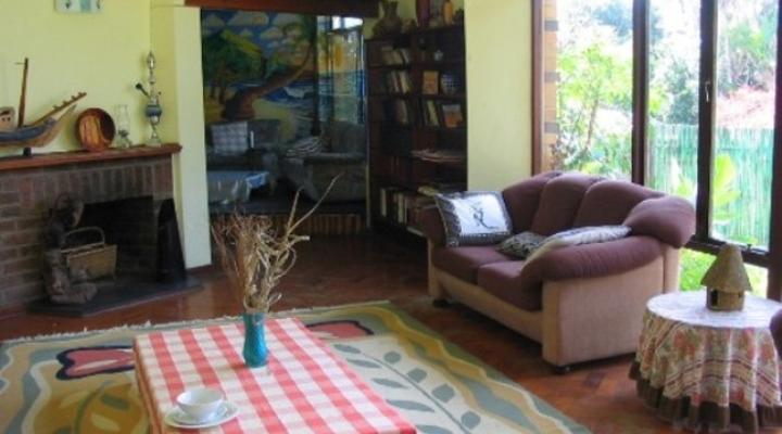 Jungle Monkey Backpackers