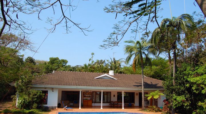 Palm Tree Place