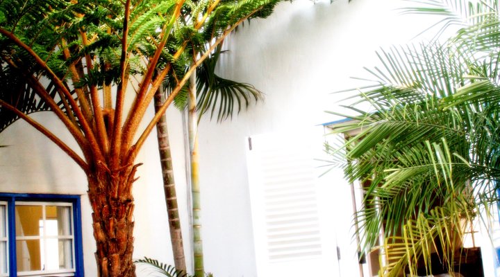 Battiss Guest House