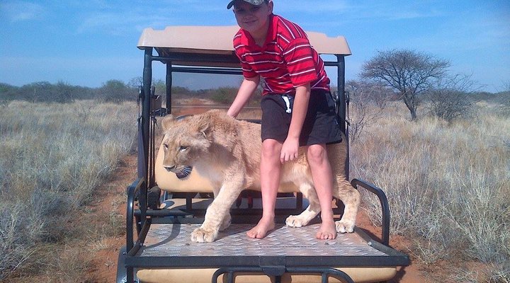 Toeka Accommodation, Restaurant and Predator Park