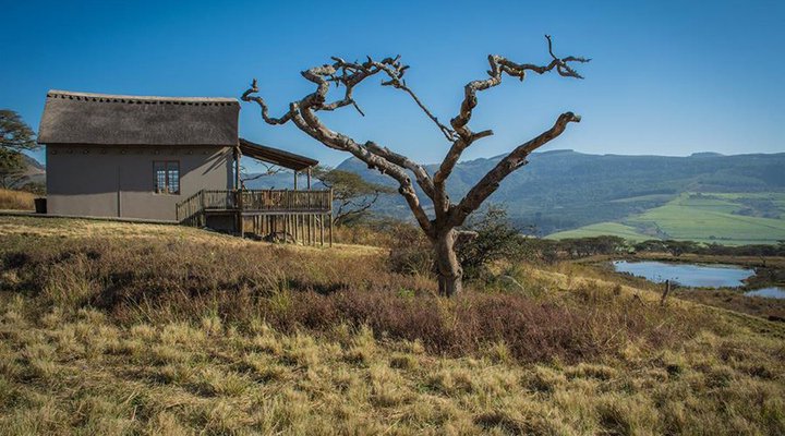 Ukuthula Lodge