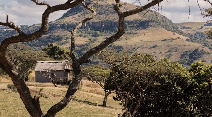 Ukuthula Lodge