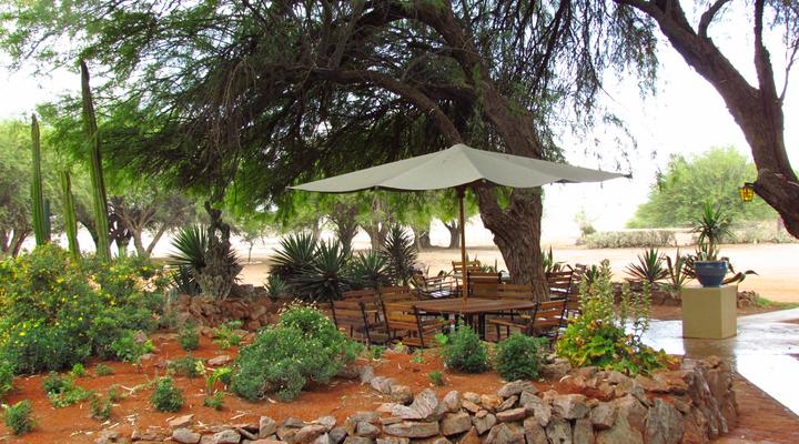 Bitterwasser Lodge and Flying Centre