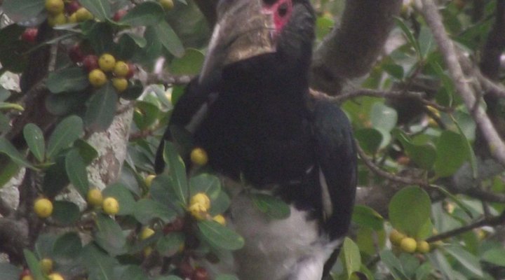 Zululand Country Lodge