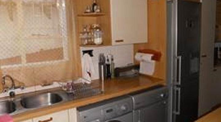 Laika Five - Room with a View