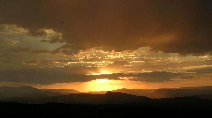 Laika Five - Room with a View