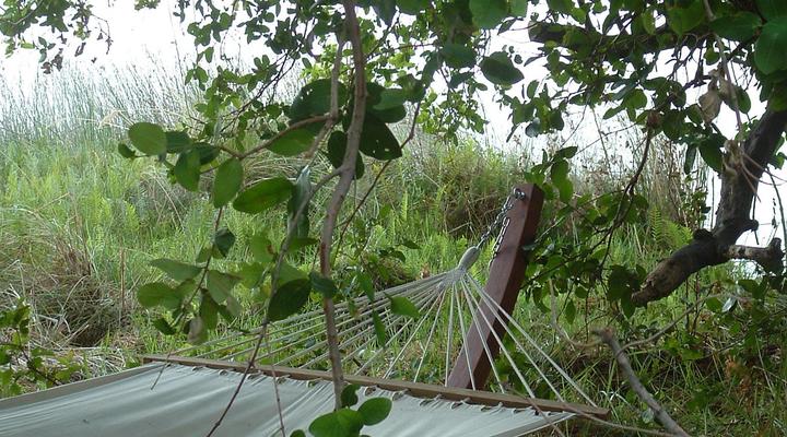 Gcadikwe Island Camp